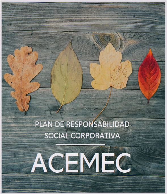 Plan de RSC ACEMEC 2019